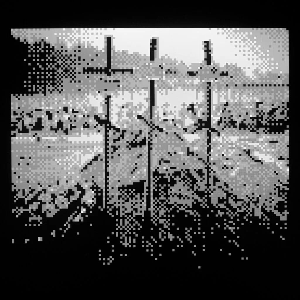 №06