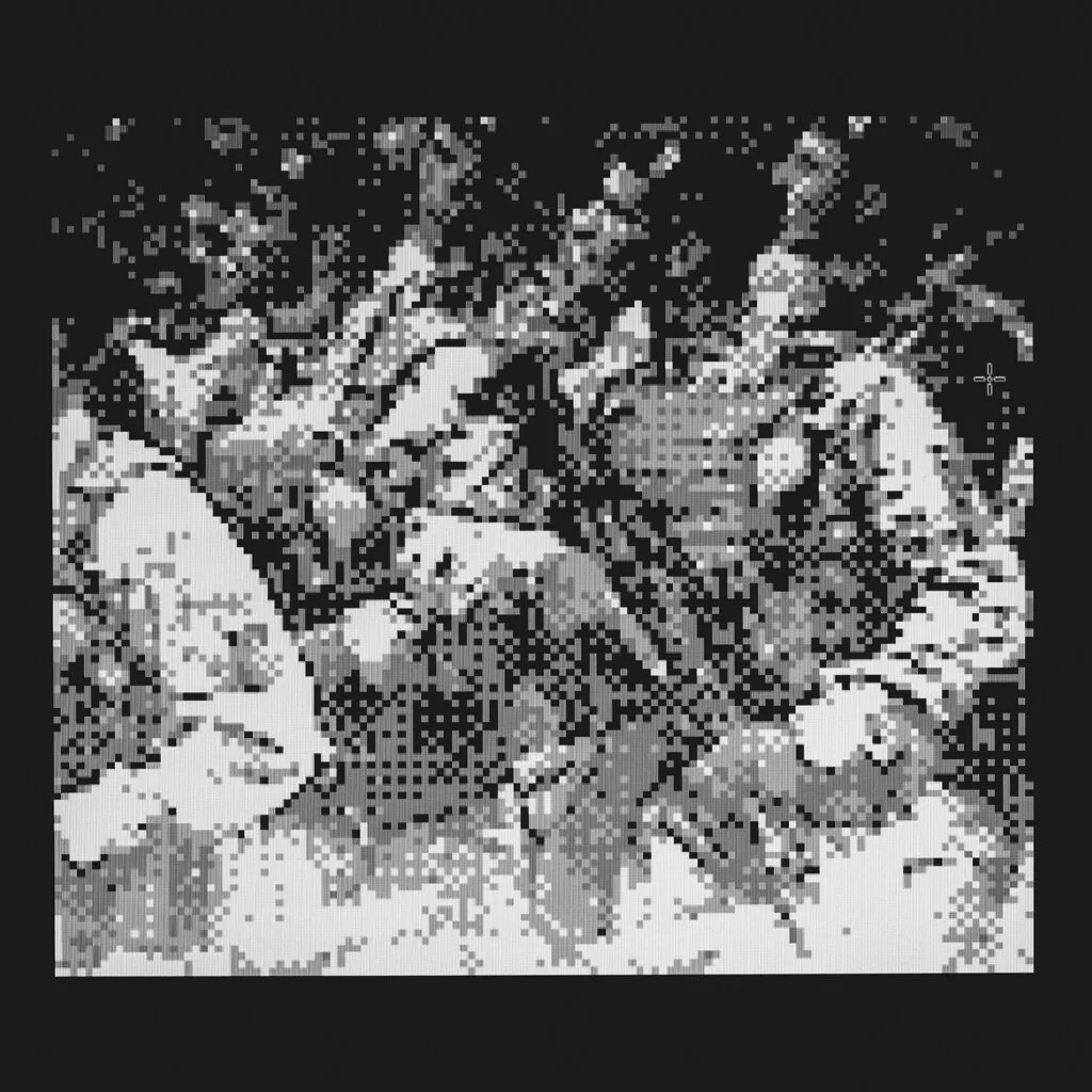 №20