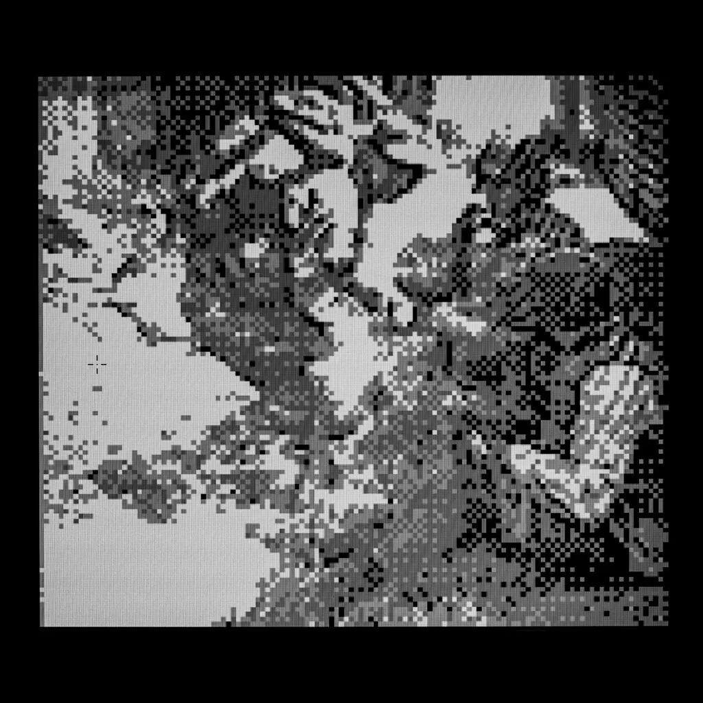 №42