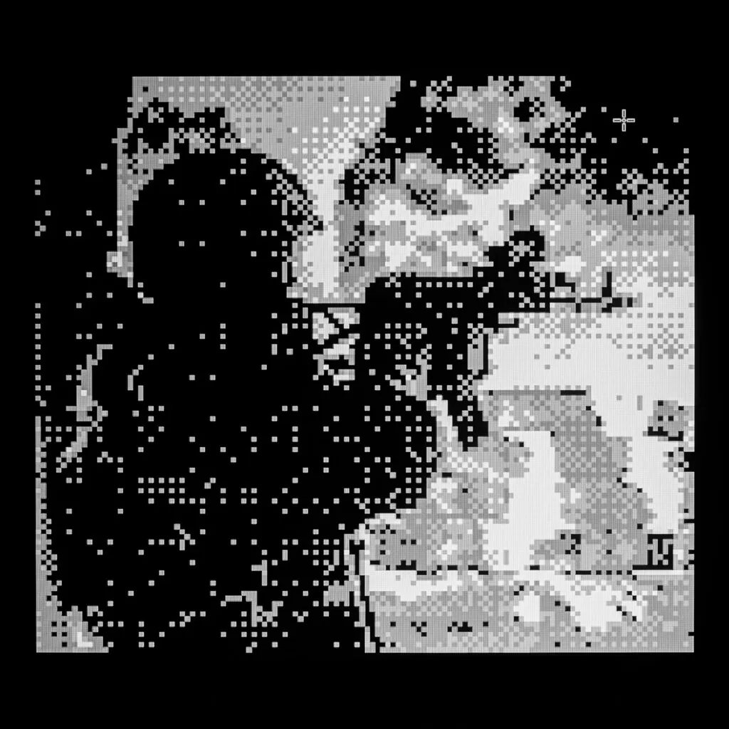 №43